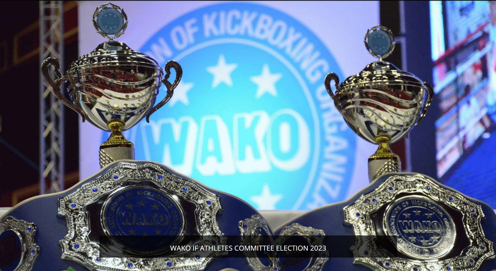 Elections of the WAKO (IF) Athletes Committee, November 14th, 2023 – Voting Tutorial